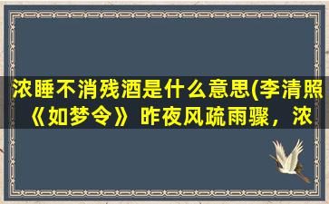 浓睡不消残酒是什么意思(李清照 《如梦令》 昨夜风疏雨骤，浓睡不消残酒。这首诗是什么意思)